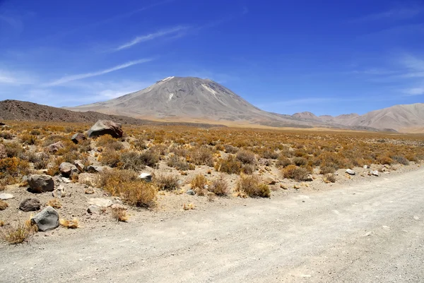 Vzdálené, pusté sopečné krajiny pouště Atacama, Chile — Stock fotografie