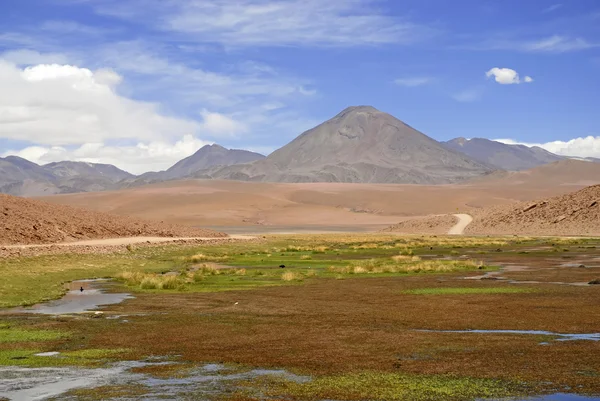 Zdalne, jałowe wulkaniczny krajobraz Pustyni Atacama, Chile — Zdjęcie stockowe