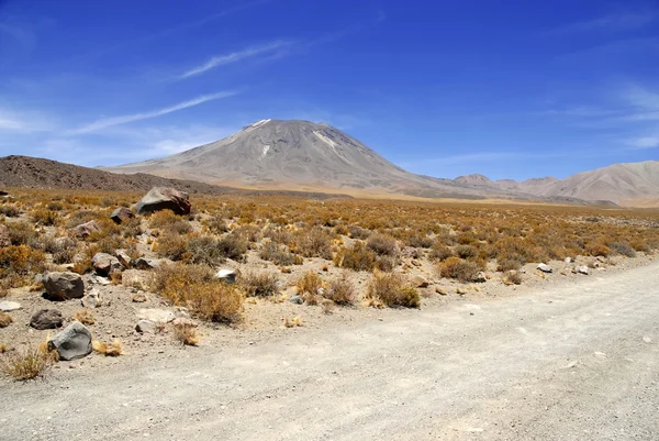 Remote, Barren volcanic landscape of the Atacama Desert, Chile Stock Photo