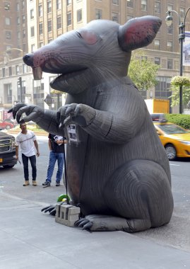 Inflatable rat known as Scabby the Rat, used by a Labor Union