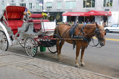 Horse-drawn carriages in Manhattan with city background, New York