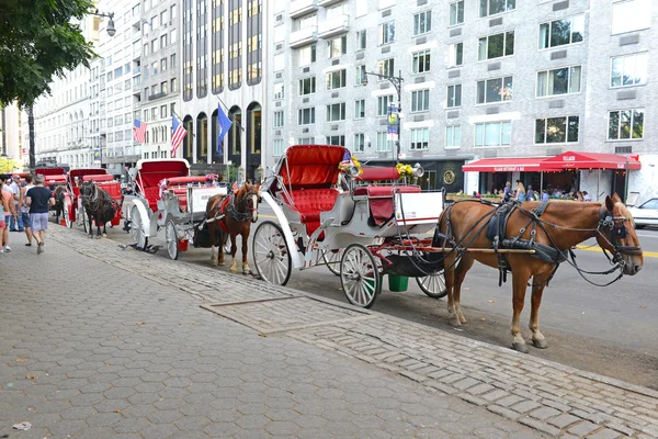 Horse-drawn carriages in Manhattan with city background, New York