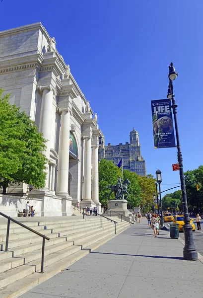 Het American Museum of Natural History in New York City — Stockfoto