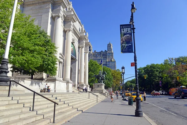 American Museum of Natural History i New York City — Stockfoto