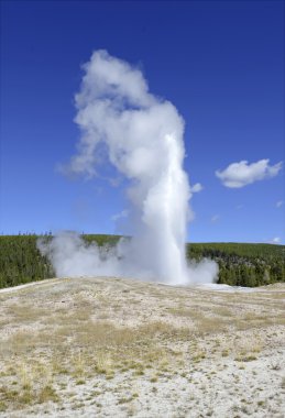 Eski sadık Geysrer Erüpsiyonu, Yellowstone Milli Parkı