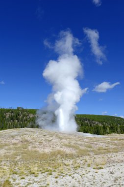 Old Faithful Geysrer eruption, Yellowstone National Park clipart