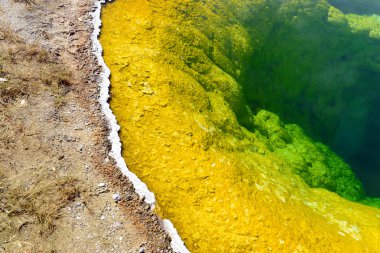 Morning Glory Hot Spring, Upper Geyser Basin, Yellowstone National Park, Wyoming clipart
