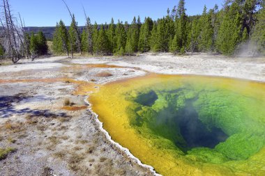 Morning Glory Hot Spring, Upper Geyser Basin, Yellowstone National Park, Wyoming clipart
