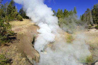 Jeotermal özellikleri Yellowstone Milli Parkı'nda