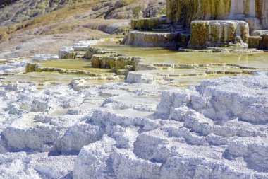 Travertine Terasları, Mamut Kaplıcaları, Yellowstone