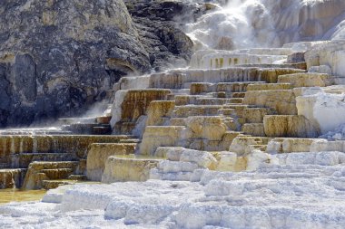 Travertine Terasları, Mamut Kaplıcaları, Yellowstone