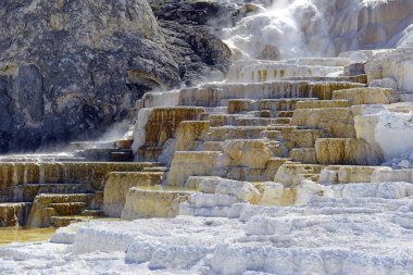 Travertine Terraces, Mammoth Hot Springs, Yellowstone clipart