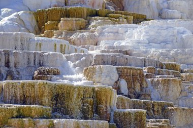 Travertine Terasları, Mamut Kaplıcaları, Yellowstone