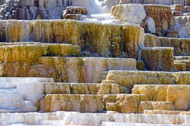 Travertine Terraces, Mammoth Hot Springs, Yellowstone clipart