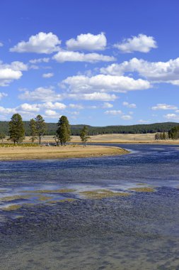 Hayden Vadisi, Yellowstone Ulusal Parkı