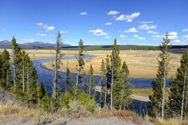 Hayden Vadisi, Yellowstone Ulusal Parkı