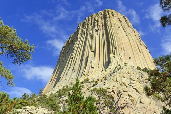 Devils Tower National Monument, a geological landform rising from the grasslands of Wyoming, is a popular tourist attraction, source for Native American legend and rock climbing goal for climbers — Stock Photo, Image