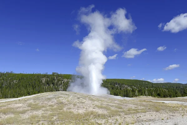 Éruption de Old Fidthful Geysrer, parc national Yellowstone — Photo