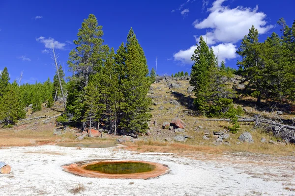 Caratteristiche geotermiche nel Parco Nazionale di Yellowstone — Foto Stock