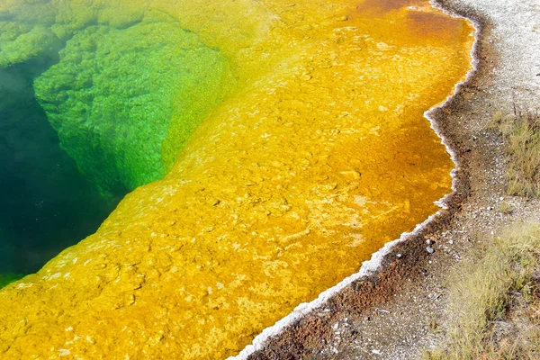 Morning Glory Hot Spring, Upper Geyser Basin, Yellowstone National Park, Wyoming — 图库照片