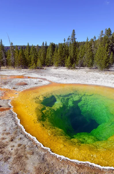 Morning Glory Hot Spring, Upper Geyser Basin, Yellowstone National Park, Wyoming — стокове фото