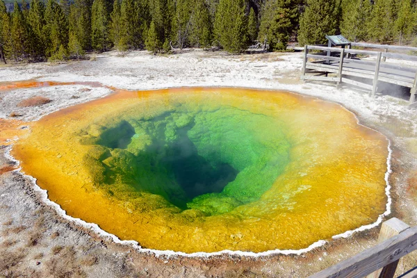 Morning Glory Hot Spring, Upper Geyser Basin, Parco Nazionale di Yellowstone, Wyoming — Foto Stock