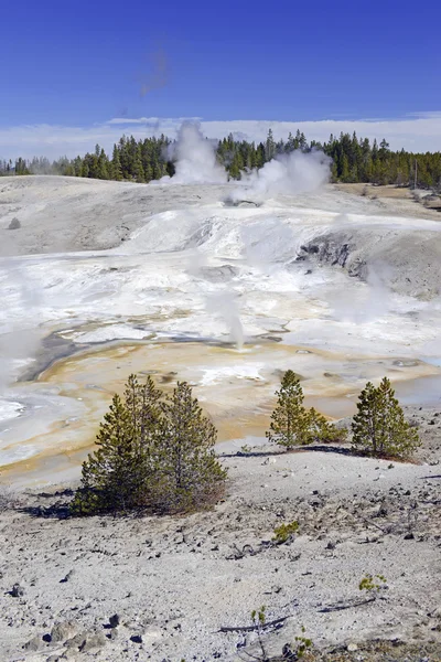 Γεωθερμική χαρακτηριστικά στο εθνικό πάρκο Yellowstone — Φωτογραφία Αρχείου