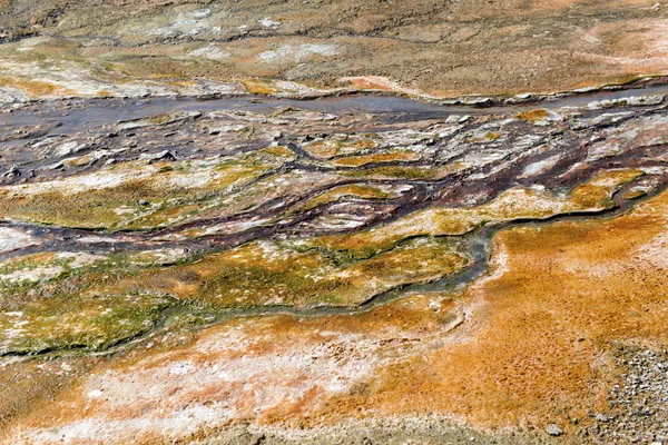 Tapis bactériens thermophiles dans les eaux de ruissellement des sources chaudes, parc national Yellowstone — Photo