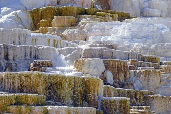 Terrasses de travertin, sources thermales Mammoth, Yellowstone — Photo