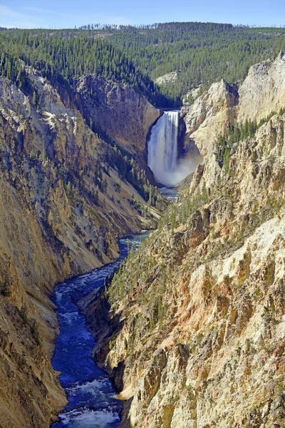 Yellowstone падає, Гранд-Каньйон в Yellowstone — стокове фото