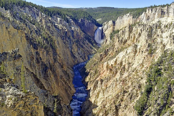 Yellowstone падає, Гранд-Каньйон в Yellowstone — стокове фото