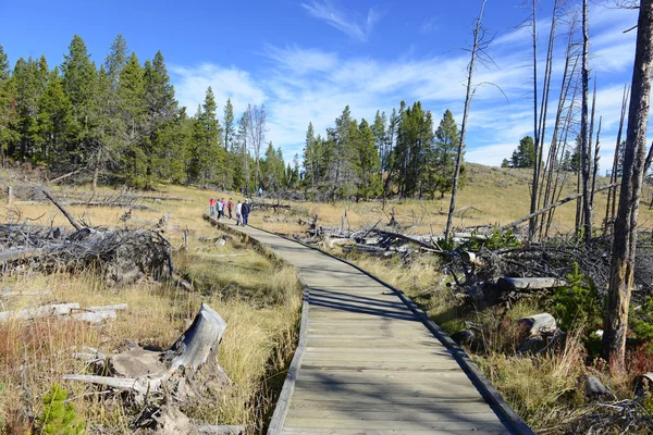 People on Boardwalks in Yellowstone National Park — Stock Photo, Image