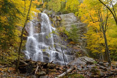 Waterfall with autumn foliage, Adirondacks, New York