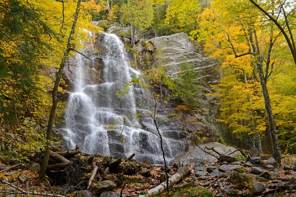 Cachoeira com folhagem de outono, Adirondacks, Nova York — Fotografia de Stock