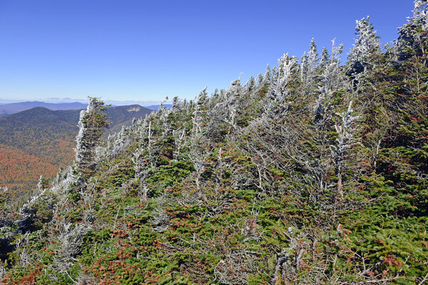 Сцена восхождения на готическую гору в Отумне с лесными красками вдали, Адирондакс, Нью-Йорк
