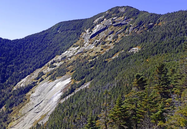 Scène alpine en montée de Gothics Mountain, en automne avec des couleurs de forêt au loin, Adirondacks, New York — Photo