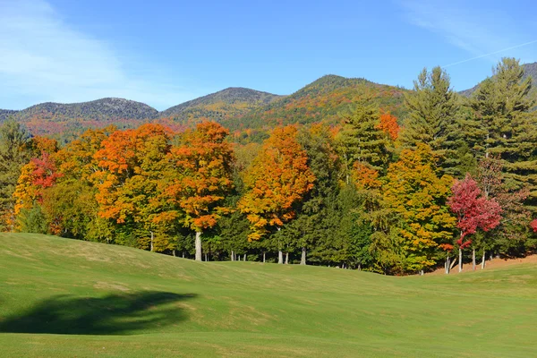 Hojas de otoño en colores Otoño, Adirondacks, Nueva York — Foto de Stock