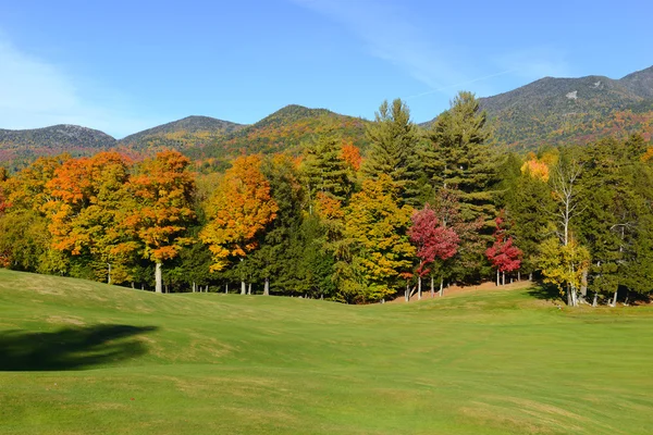 Podzimní listí v barvách podzimu, Adirondacks, New York — Stock fotografie