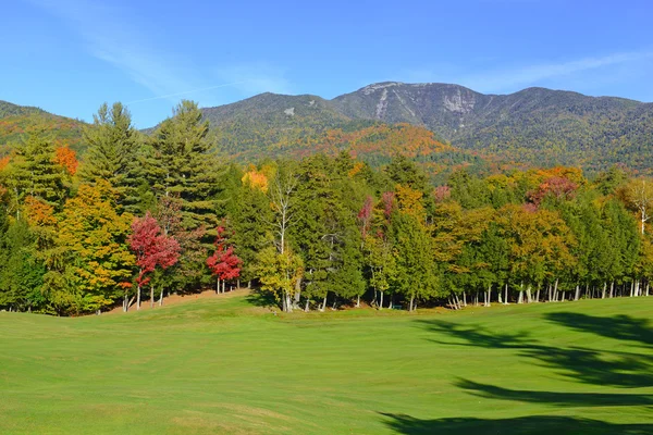 Hojas de otoño en colores Otoño, Adirondacks, Nueva York — Foto de Stock