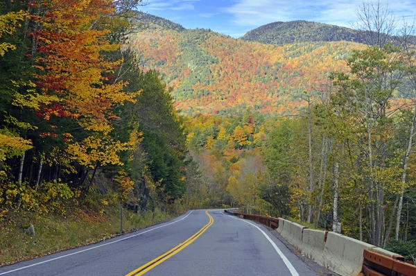 Осіннє листя в кольору осені, Adirondacks, Нью-Йорк — стокове фото