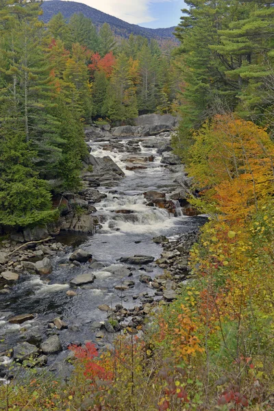 Podzimní listí v barvách podzimu, Adirondacks, New York — Stock fotografie