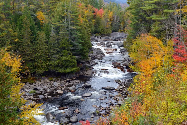 Podzimní listí v barvách podzimu, Adirondacks, New York — Stock fotografie