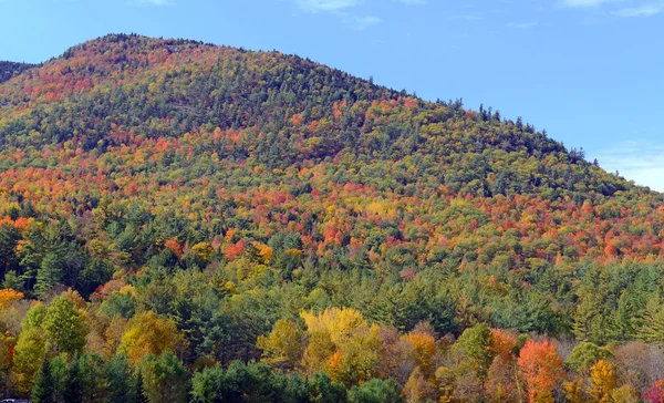 Őszi levelek, az őszi színek, Adirondacks, New York — Stock Fotó