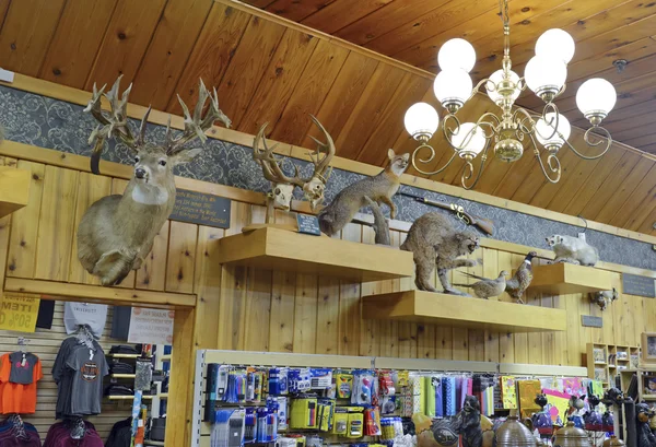 Wall Drug Store, Wall South Dakota — Foto Stock