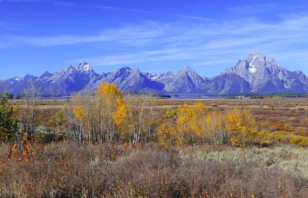 Folhagem de outono, cores de outono no Grand Teton National Park — Fotografia de Stock