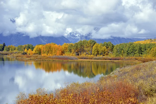 Autumn foliage, fall colors in Grand Teton National Park — Stock Photo, Image