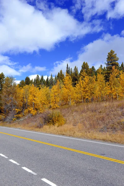 Folhagem de outono, cores de outono no Grand Teton National Park — Fotografia de Stock