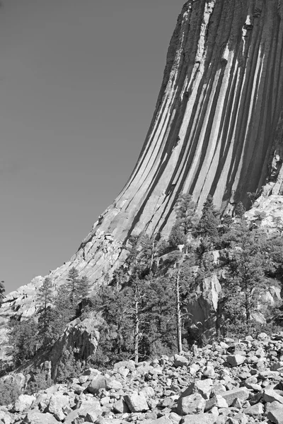 Devils Tower National Monument, Wyoming – stockfoto