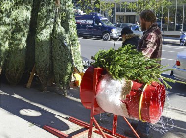 Vendors selling Christmas Trees on the streets of Manhattan. clipart