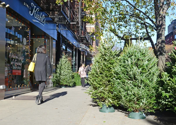 Vendedores vendendo árvores de Natal nas ruas de Manhattan . — Fotografia de Stock
